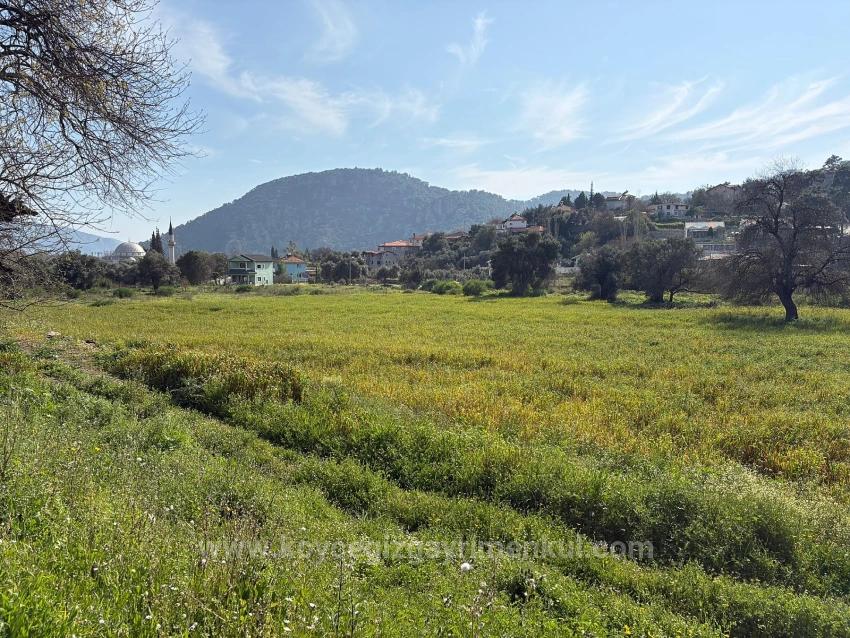 Köyceğiz Çandır Köyü'de Hisseli Rızai Taksimli 2.023M2 Satılık Tarla