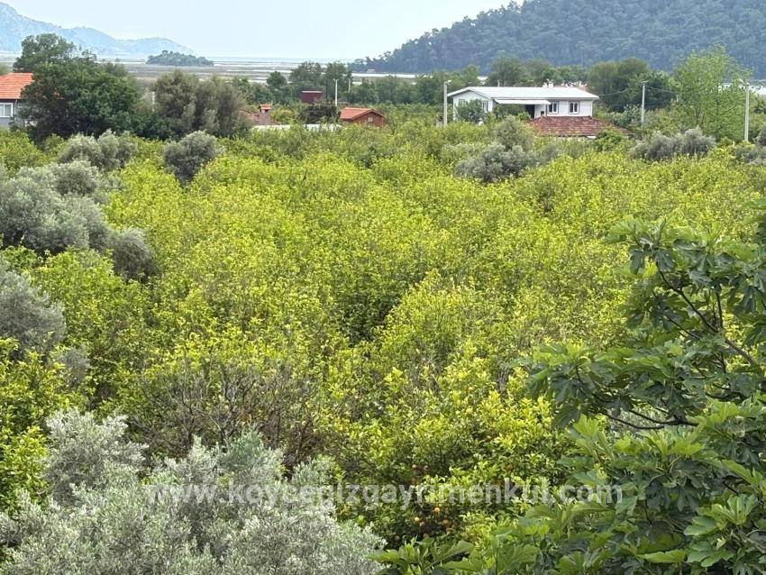 Çandır'da Deniz Ve Göl Manzaralı 1.721m2 Satılık Tarla