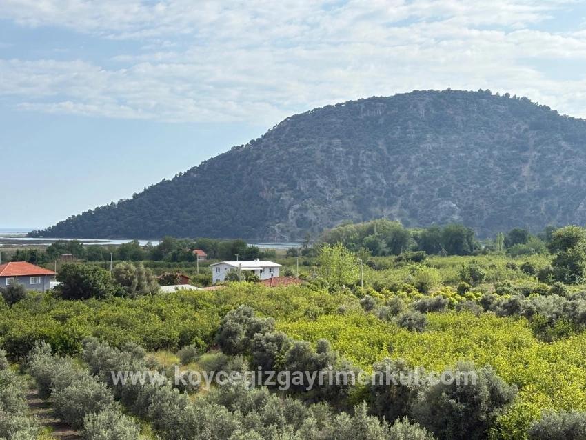 Çandır'da Deniz Ve Göl Manzaralı 1.721m2 Satılık Tarla