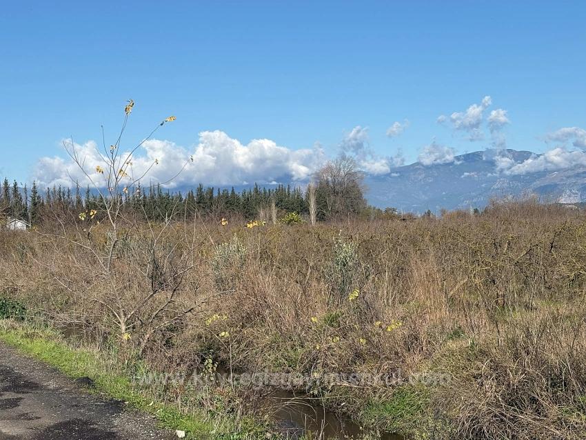 Tepearası'nda 23000M2 Müstakil Satılık Tarla