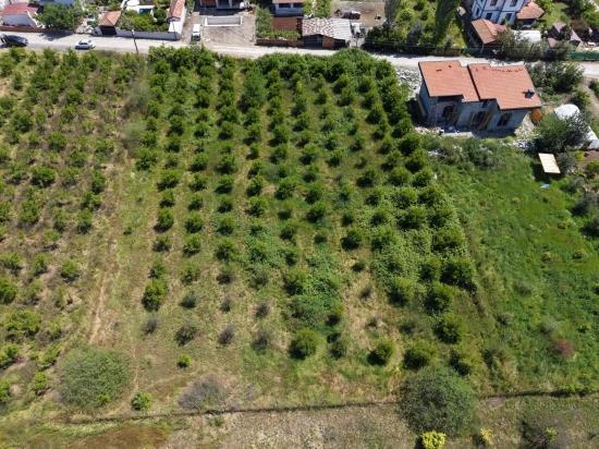 Okçular'da 1050M2 Köy Yerleşik Alanında Satılık Arsa