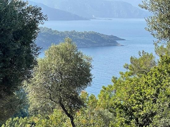Ekincik Çandır Arasın'da Deniz Manzaralı Kelepir Emlak Satılık Arsa