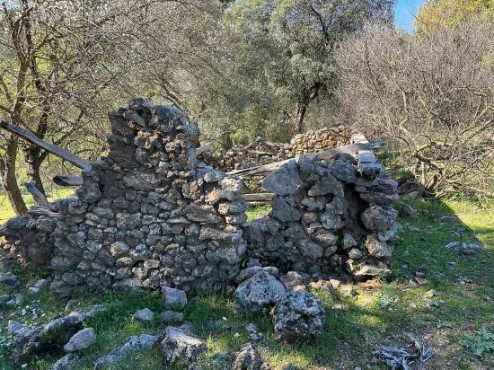 Gökbel'de Doğa Ve Orman İçerisinde Satılık Tarla