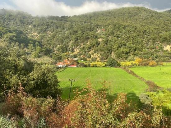 Köyceğiz Çandır'da 35000M2 Satılık Çiftlik Arazisi
