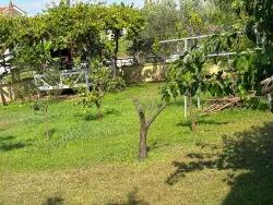 Ortaca Dalyan Mah. Satılık 4+2 Müstakil ev - 1.000 m²