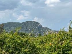 Dalyan Maraş Mevkiinden 5,100M2 %5 Konut İmarlı Satılık Arsa