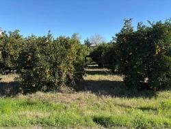 Ekşiliyurt'ta 1085M2 Yerleşik Alan İçerisinde İmarlı Satılık Arsa