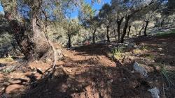 Çandır'da Full Deniz Manzaralı 5715M2 Satılık 2B Tarla