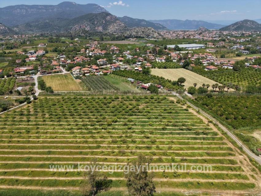 Ortaca Dalyan Mah. Satılık Tarla - Tarla İmar Durumlu - 5.100 m²