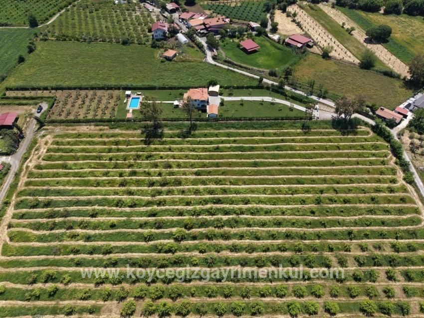 Ortaca Dalyan Mah. Satılık Tarla - Tarla İmar Durumlu - 5.100 m²