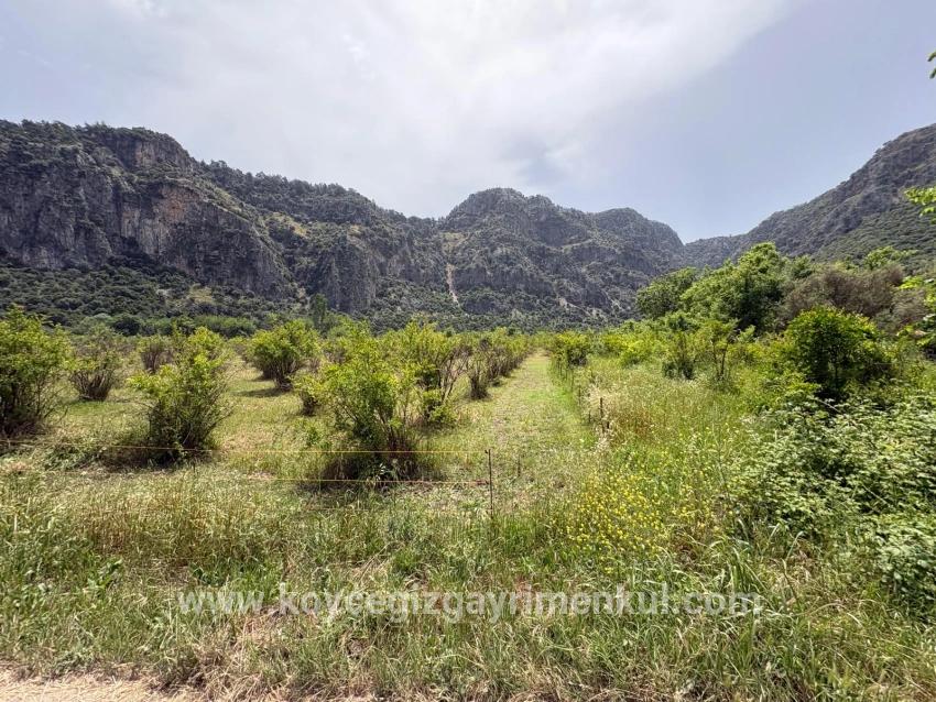 Ortaca Okçular Mah. Satılık Arsa - Konut İmar Durumlu - 2.100 m²