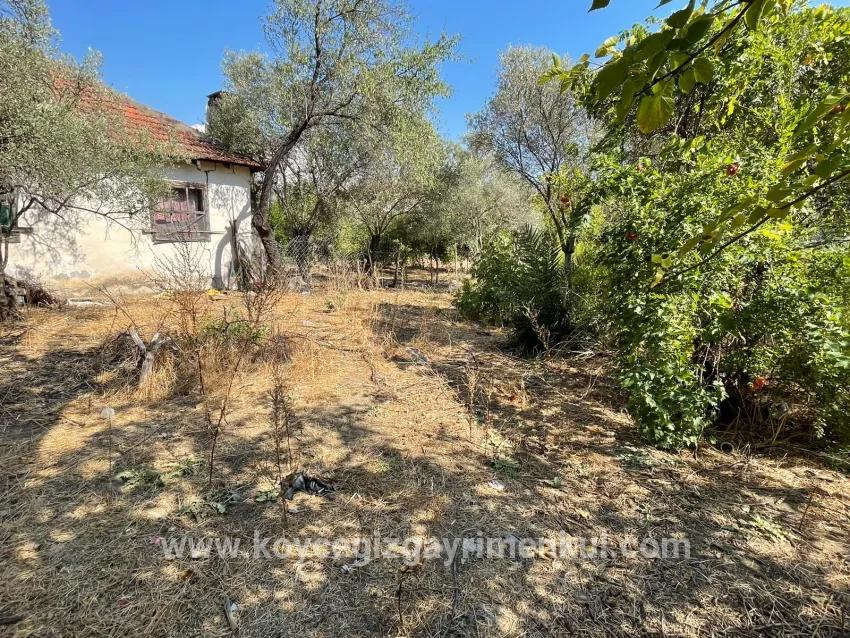 Köyceğiz Çandır Mah. Satılık 1+0 Müstakil Ev - 2.765 m²