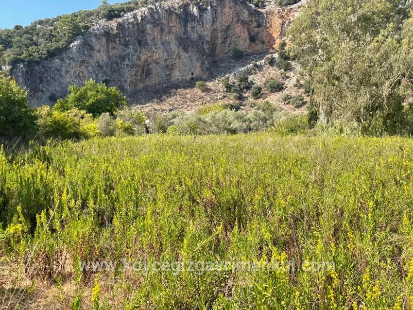 Köyceğiz Çandır Mah. Satılık 1+0 Müstakil Ev - 2.765 m²