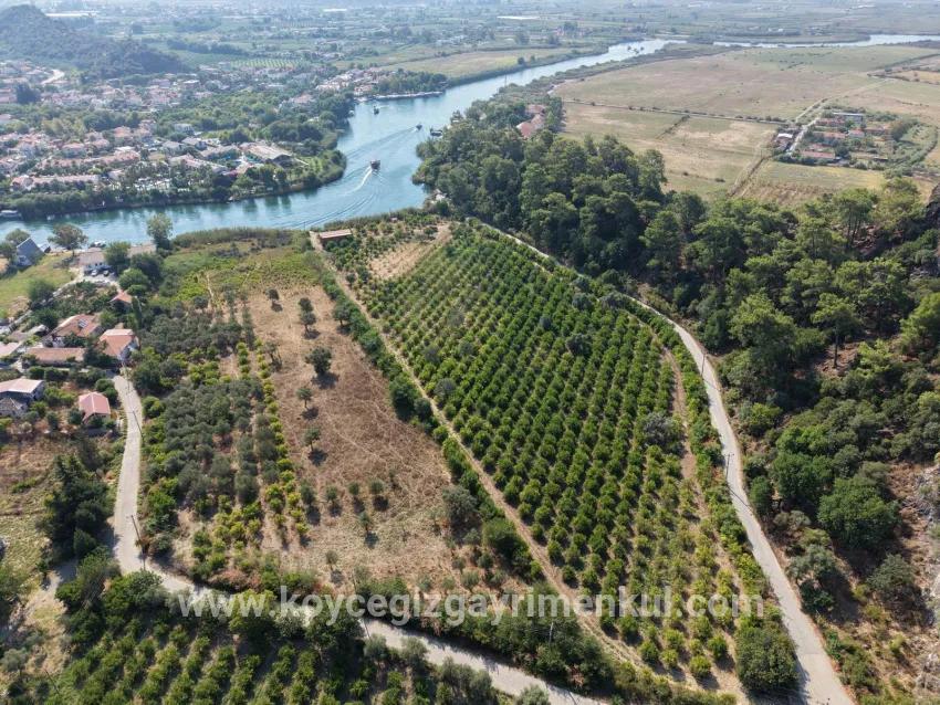 Köyceğiz Çandır Mah. Satılık Tarla - Tarla İmar Durumlu - 20.000 m²