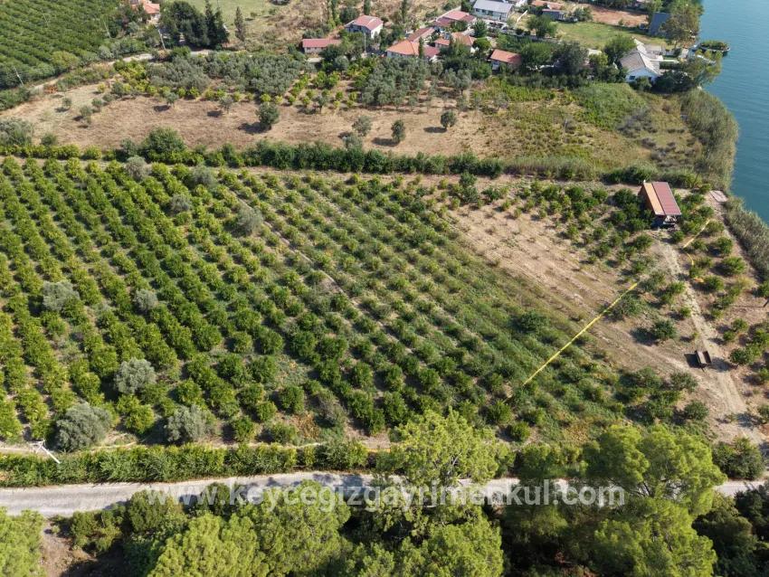 Köyceğiz Çandır Mah. Satılık Tarla - Tarla İmar Durumlu - 20.000 m²