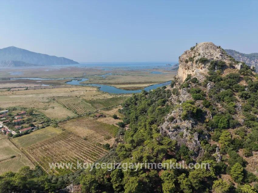 Köyceğiz Çandır Mah. Satılık Tarla - Tarla İmar Durumlu - 20.000 m²