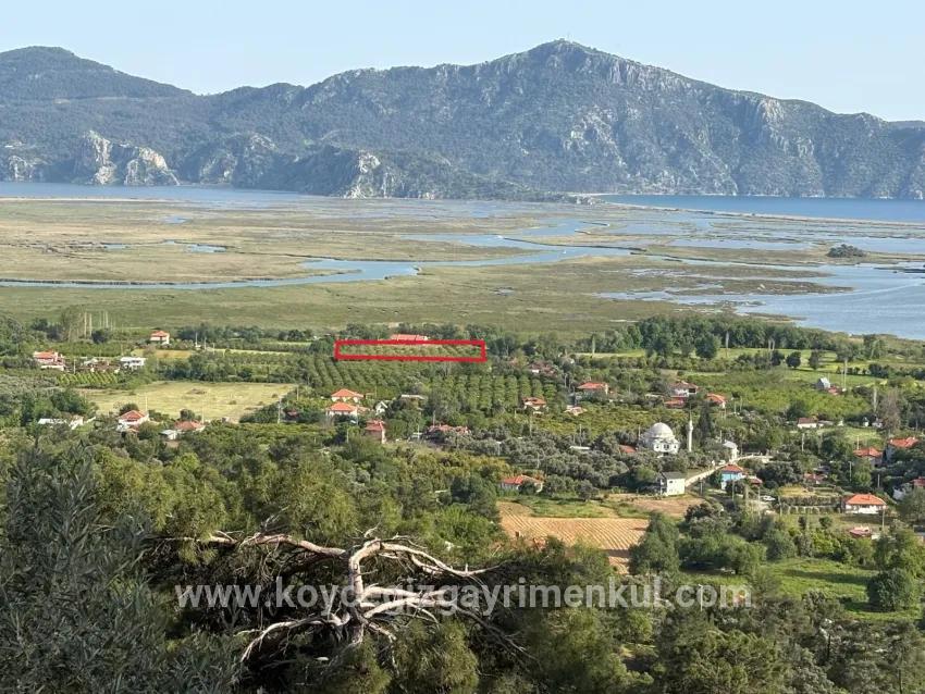 Köyceğiz Çandır Mah. Satılık Tarla - Tarla İmar Durumlu - 1.252 m²