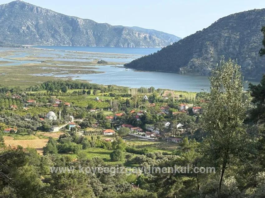Köyceğiz Çandır Mah. Satılık Tarla - Tarla İmar Durumlu - 1.252 m²