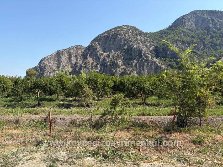 Ortaca Dalyan Mah. Satılık Tarla - Tarla İmar Durumlu - 20.786 m²