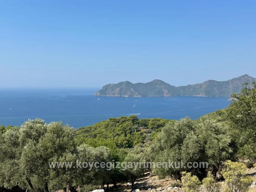 Köyceğiz Çandır Mah. Satılık Tarla - Tarla İmar Durumlu - 21.000 m²