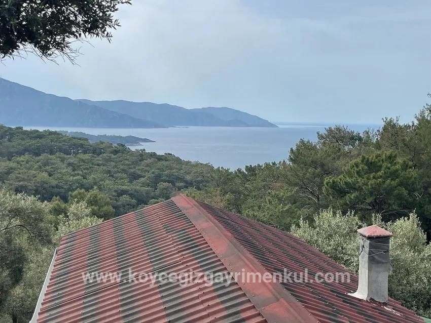 Köyceğiz Ekincik Mah. Satılık Tarla - Zeytinlik İmar Durumlu - 7.000 m²