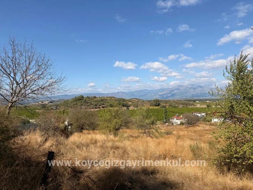 Ortaca Dalyan Mah. Satılık Tarla - Tarla İmar Durumlu - 5.000 m²