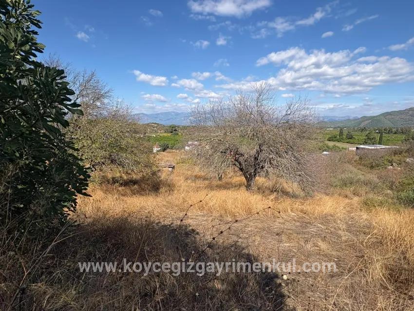 Ortaca Dalyan Mah. Satılık Tarla - Tarla İmar Durumlu - 5.000 m²