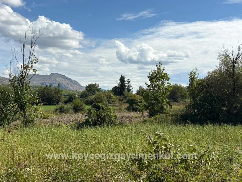 Köyceğiz Zeytinalanı Mah. Satılık Tarla - Tarla İmar Durumlu - 10.500 m²