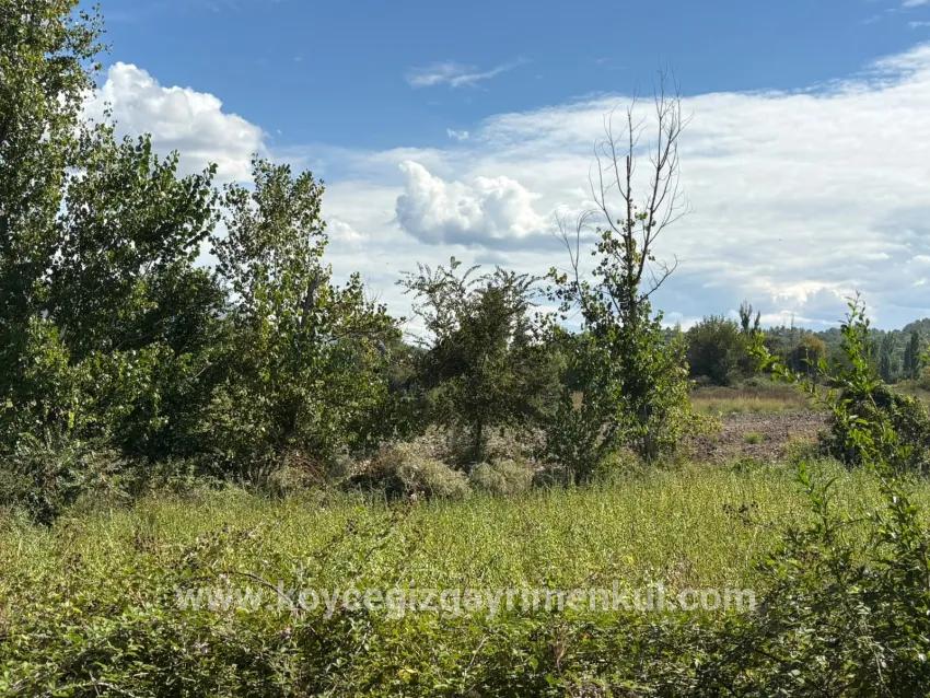 Köyceğiz Zeytinalanı Mah. Satılık Tarla - Tarla İmar Durumlu - 10.500 m²