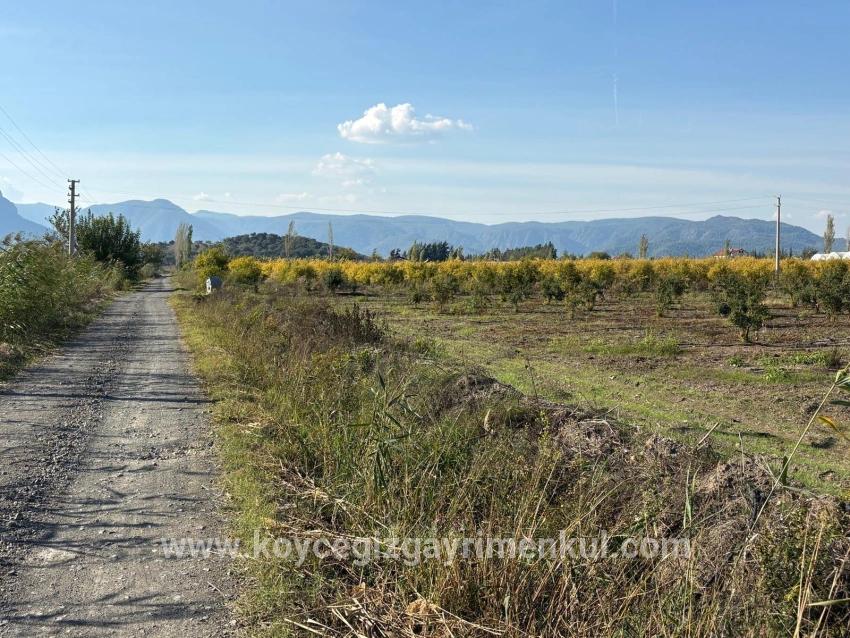 Ortaca Eskiköy Mah. Satılık Tarla - Tarla İmar Durumlu - 21.500 m²