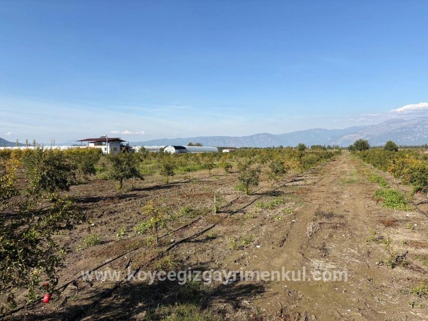 Ortaca Eskiköy Mah. Satılık Tarla - Tarla İmar Durumlu - 21.500 m²
