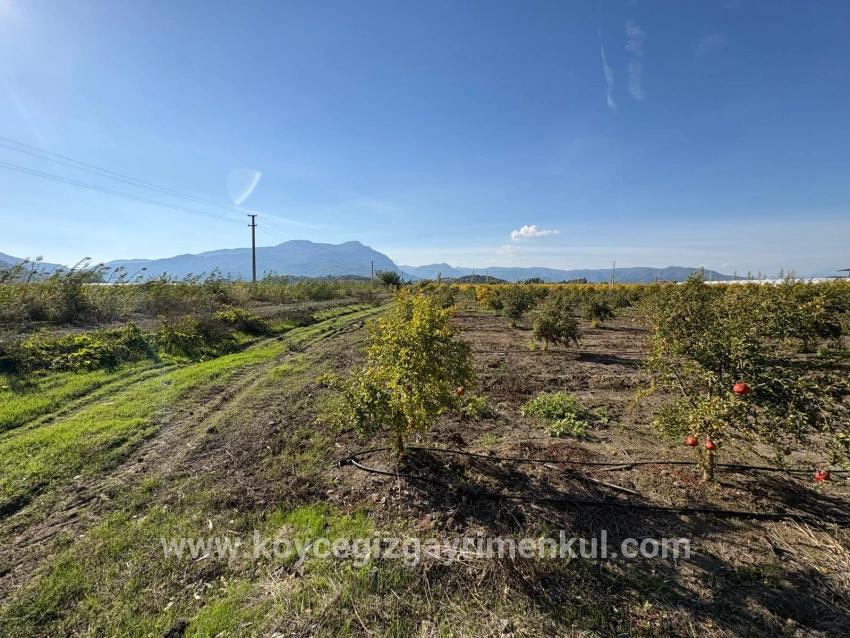 Ortaca Eskiköy Mah. Satılık Tarla - Tarla İmar Durumlu - 21.500 m²