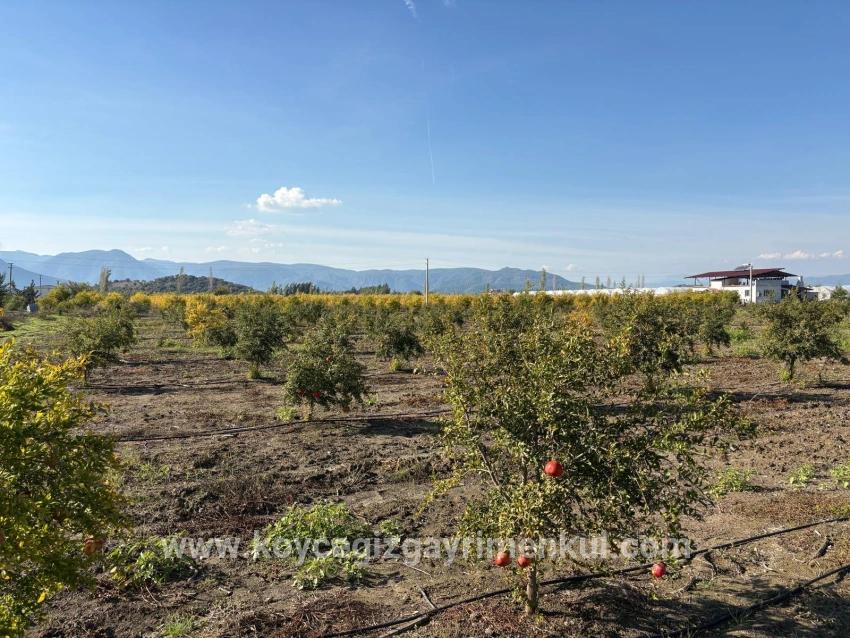 Ortaca Eskiköy Mah. Satılık Tarla - Tarla İmar Durumlu - 21.500 m²