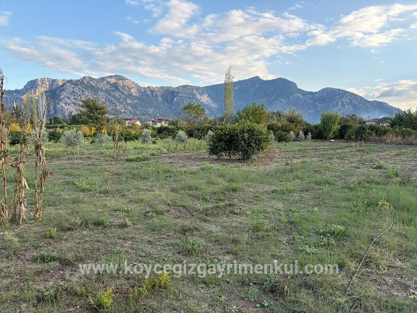 Ortaca Dalyan Mah. Satılık Arsa - Konut İmar Durumlu - 7.450 m²