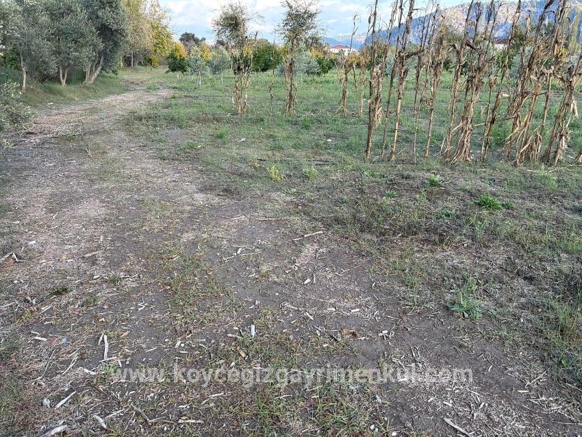 Ortaca Dalyan Mah. Satılık Arsa - Konut İmar Durumlu - 7.450 m²