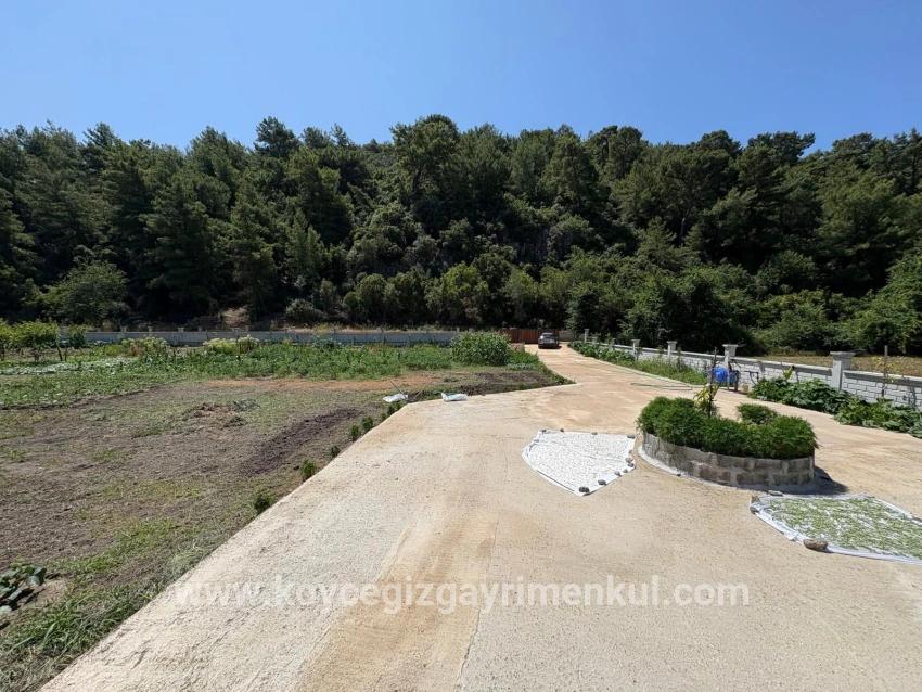 Ortaca Dalyan Mah. Satılık 2+1 Müstakil Ev - 2.500 m²