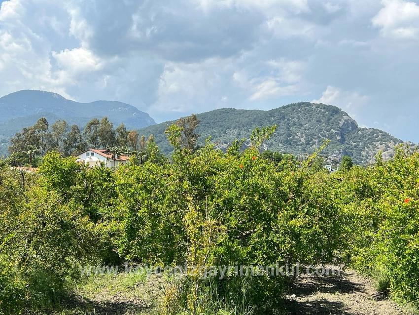 Ortaca Dalyan Mah. Satılık Arsa - Konut İmar Durumlu - 5.100 m²