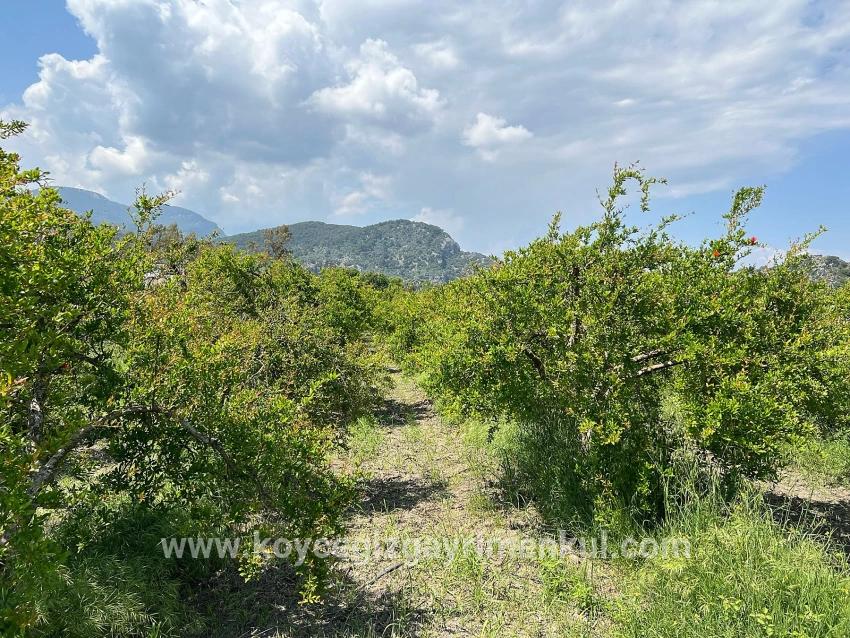 Ortaca Dalyan Mah. Satılık Arsa - Konut İmar Durumlu - 5.100 m²