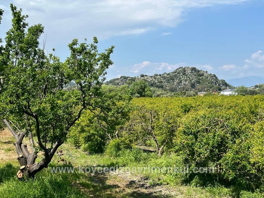 Ortaca Dalyan Mah. Satılık Arsa - Konut İmar Durumlu - 5.100 m²