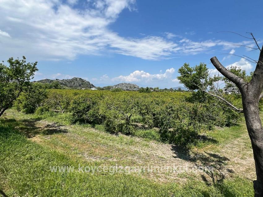 Ortaca Dalyan Mah. Satılık Arsa - Konut İmar Durumlu - 5.100 m²