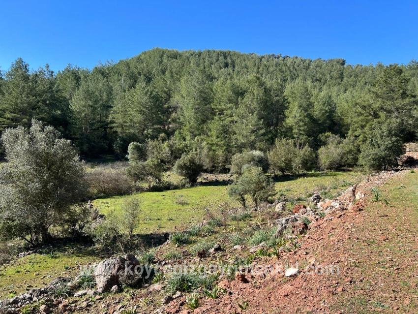 Ortaca Gökbel Mah. Satılık Tarla - Tarla İmar Durumlu - 24.163 m²
