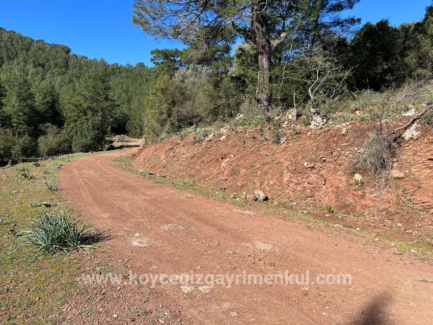Ortaca Gökbel Mah. Satılık Tarla - Tarla İmar Durumlu - 24.163 m²