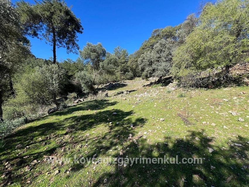 Ortaca Gökbel Mah. Satılık Tarla - Tarla İmar Durumlu - 24.163 m²