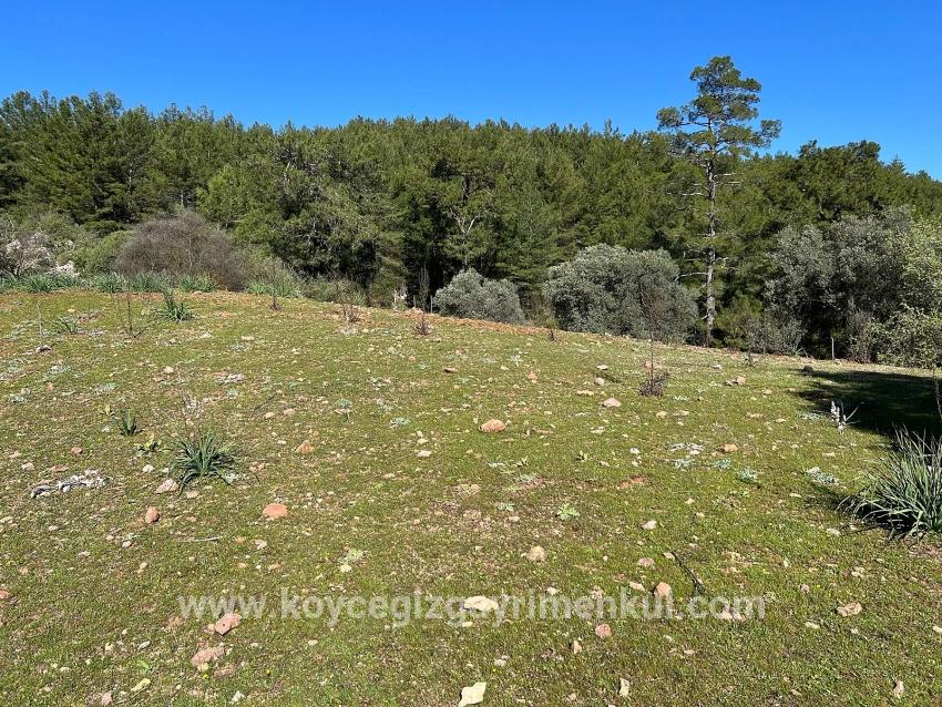 Ortaca Gökbel Mah. Satılık Tarla - Tarla İmar Durumlu - 24.163 m²
