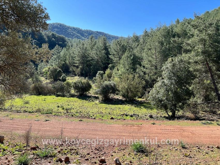 Ortaca Gökbel Mah. Satılık Tarla - Tarla İmar Durumlu - 24.163 m²