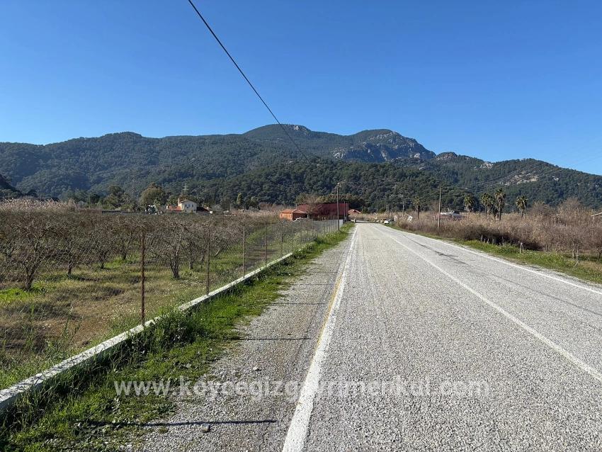 Ortaca Dalyan Mah. Satılık Arsa - Konut İmar Durumlu - 5.985 m²