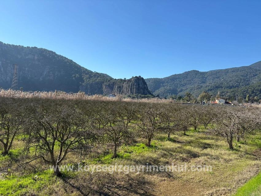 Ortaca Dalyan Mah. Satılık Arsa - Konut İmar Durumlu - 5.985 m²