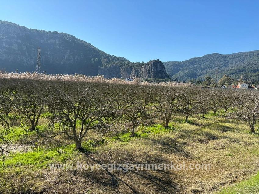Ortaca Dalyan Mah. Satılık Arsa - Konut İmar Durumlu - 5.985 m²