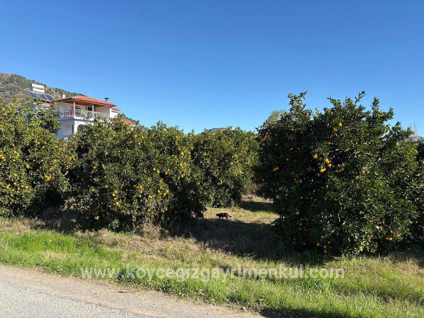 Ortaca Ekşiliyurt Mah. Satılık Arsa - Konut İmar Durumlu - 1.085 m²