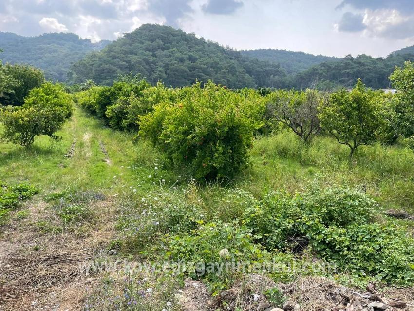 Ortaca Gökbel Mah. Satılık Tarla - Konut İmar Durumlu - 7.800 m²